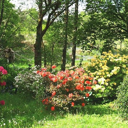 Inverawe Cottages Taynuilt Buitenkant foto