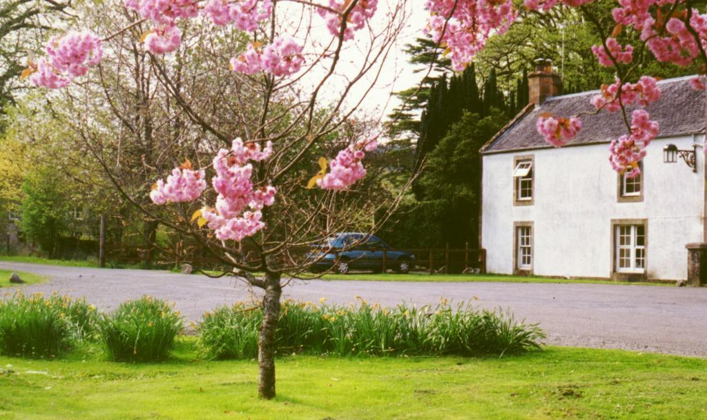 Inverawe Cottages Taynuilt Kamer foto